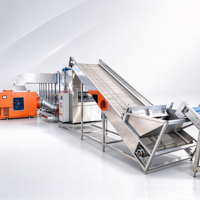 Industriële fruit- en groentedroger met continu transportband, 20 ton per dag, voor grote voedingsmiddelenproductiebedrijven