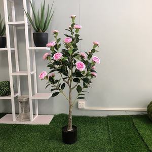Camellia Bonsai Arbre Artificiel <span class=keywords><strong>Camelia</strong></span> Fleur Arbre Plante pour Home Hotel - Product Image 4