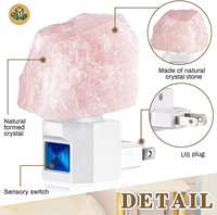 Lampe en sel rose de l'Himalaya, lampe en cristal, service OEM, forme personnalisée, prix compétitif, capteur LED, décoration de la maison pour la chambre à coucher