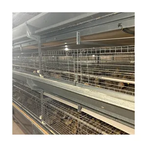 2022 New Product Automatic Pullet Chick Battery Cage for Day Old Layer Chicks