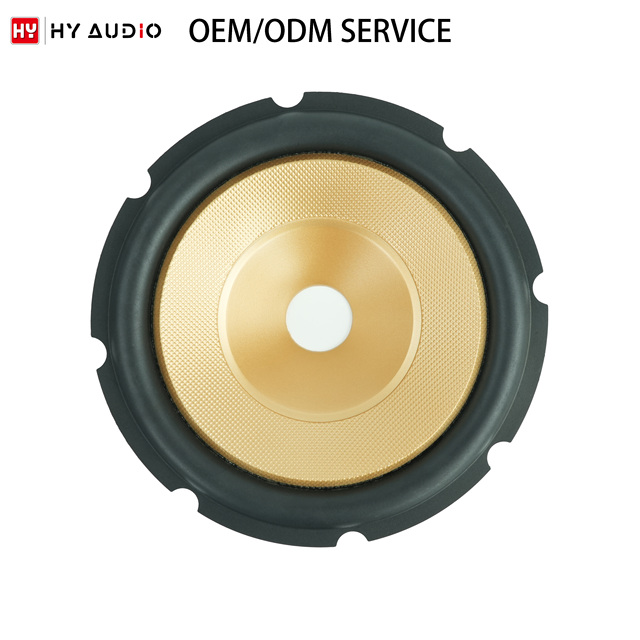 HY AUDIO 10 Inch Rubber Edge Speaker Cone Injection PP Plastic Material 255mm Diameter Two-way Crossover 300-500W Output Power