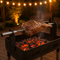Fourchette de rôtissoire BBQ Pro
