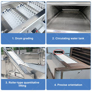 Hnoc น้ำส้มทำให้โรงงานผลิตน้ำผลไม้เข้มข้นขนาดเล็ก - Product Image 4