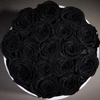 17 Zwarte Eeuwig Houdende Rozen in Ronde Luxe Suède Doos - Cadeau voor Verjaardag, Moederdag, Valentijnsdag, Jubileum