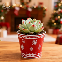 Pot de fleurs moderne de style vintage, décoration intérieure et extérieure, décoration de Noël, métal enduit de poudre, suspendu pour centre commercial