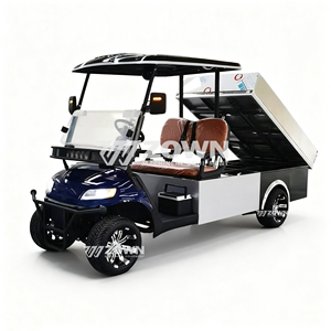 Carro de Golf Eléctrico de Alta Resistencia para 2 Personas, Motor de 48V 5KW, Alcance de 80KM, Ideal para Grandes Campos de Golf y Transporte Comercial - Product Image 4
