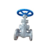 Katup Gerbang Baja Tahan Karat Kelas 150 ANSI, Material CF8M/316, Bersertifikasi API 600, Kustomisasi OEM untuk Sistem Air/Minyak/Gas