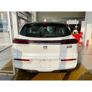 Bui <span class=keywords><strong>CK</strong></span> E5 Nueva energía Protección del medio ambiente Suv de largo alcance Larga resistencia Coche eléctrico puro de alta eficiencia - Product Image 5