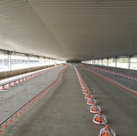 Hangar d'élevage de volaille à structure en acier à côté ouvert de conception moderne