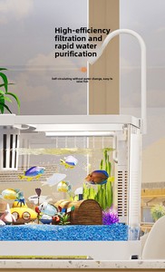 Aquário Ecológico de Acrílico para Mesa com Circulação Automática e Filtro de Oxigenação para Peixes Betta e Goldfish - Product Image 5