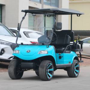 Venta caliente Scooters 4 asientos todoterreno UTV ATV Buggy a la venta HDK EVOLUTION carrito de golf eléctrico - Product Image 3