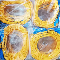SC/APC SC/APC Kabel Patch Serat Optik Mode Tunggal Berlapis Baja Jumper Optik SIMPLEX 9/125um OS1/OS2 Kompatibel LSZH Putih 3m Modem