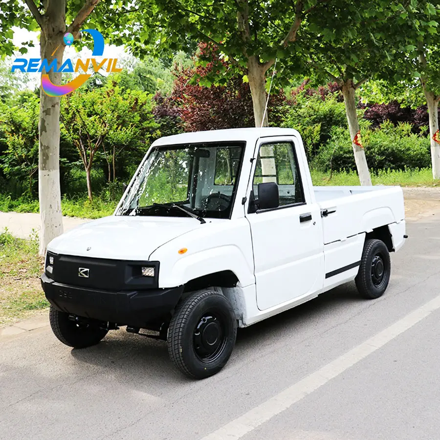 4KW Camion Elettrico/Elettrico Pick-Up (2 Posti) con Una Forte Corpo/Dalla Cina