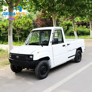 4KW Elektrische Truck/Elektrische Pickup (2 Zetels) met Sterk Lichaam/Uit China