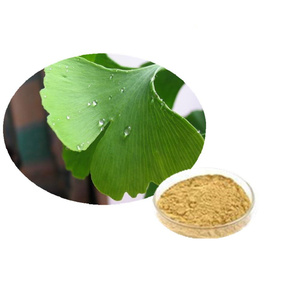 Chiết Xuất Từ <span class=keywords><strong>Ginkgo</strong></span> <span class=keywords><strong>Biloba</strong></span> Flavone Glycosides 24% Terpene Lactone 6% - Product Image 6