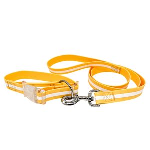 Correa de perro de PVC suave personalizada de Guanghai y cinturón para el cuello impermeable lavable con característica reflectante decoraciones de cinta patrón de impresión - Product Image 4