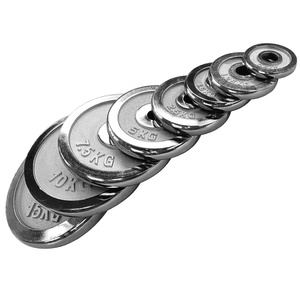 Fitness Dumbbell Barbell Disc Placas de peso estándar de hierro fundido con acabado cromado de 1 pulgada - Product Image 2