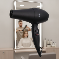 Sèche-cheveux professionnel 2100W portable à moteur AC ionique avec diffuseur pour hôtels, camping-cars et usage commercial – Vente en gros usine