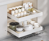 Étagère de rangement double rétractable en métal pour épices, style tiroir, pour évier, vaisselle et assaisonnements, organisateur de placard de cuisine