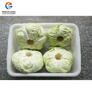 Máquina Cortadora de Repollo, Máquina para Desmenuzar Repollo y Cebolla - Product Image 3