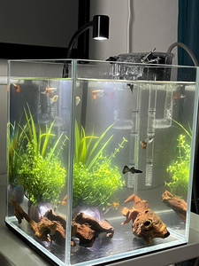 Bois flotté pour aquarium, sélectionné avec soin, décoration naturelle pour aquarium, bois décoratif pour terrarium de reptiles - Product Image 5