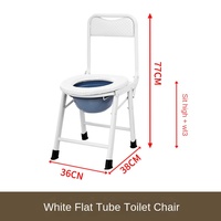 Chaise de toilette de bain à dossier haut pour femmes enceintes âgées handicapées moderne capacité de 120kg marque usage domestique