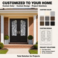 Porte d'entrée double en fer forgé sur mesure avec grille décorative cintrée et isolation thermique pour villa américaine