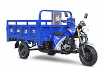 Tricycle cargo à moteur essence pour adultes, scooter pour le transport de marchandises