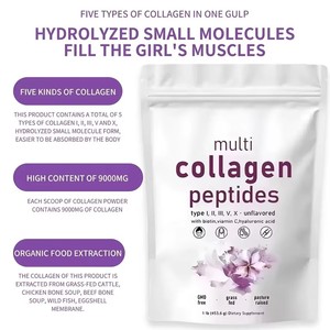 Integratore OEM Multi Super Collagene in Polvere con Peptidi, Acido Ialuronico e Vitamina C per Bellezza di Pelle e Crescita dei Capelli, 2 Libbre - Product Image 3