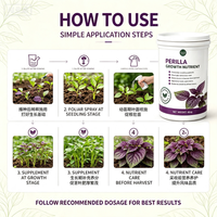 Nutrisi Khusus Perilla, Membuat Daun Ungu Lebih Tebal dan Lebat, Aroma Lebih Wangi