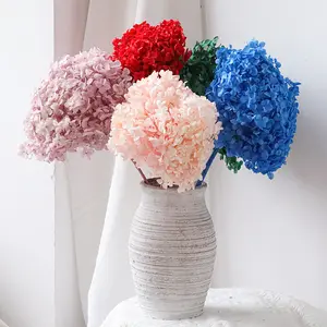 Zhuoou Decorative Fresh Cut Flowers And Plants Small Dried Flowers For Resins Preserved Hydrangea Potpourri Dry Flowers