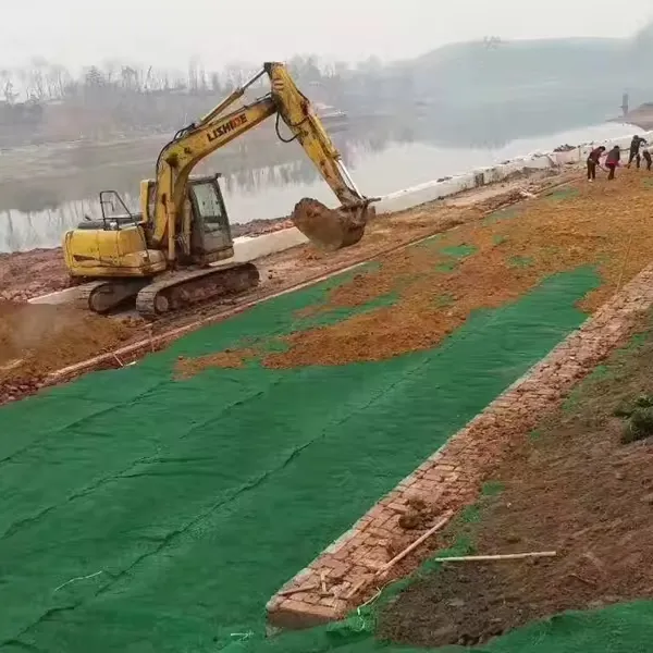 Three-Dimension Planting Grasses 3D Geomat Blanket Mat Erosion Control Geomat Price Erosion Control Mat