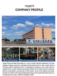 Rines Todoterreno DX290 en Oferta, Rines de Aleación de 15*8 17*9 Pulgadas, 6*114.3 6*139.7, Rines Todoterreno para Carreras MAT - Product Image 6