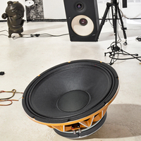 Subwoofer Profesional OEM de Fábrica de 18" con Cono de Carbono 2000-4000W Material de Aluminio para un Potente Rendimiento de Bajos