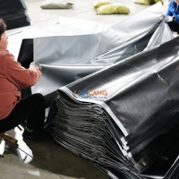 Rouleau de bâche en PE argenté 150 g/m² résistant aux intempéries pour les projets de construction et de toiture