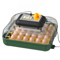 Incubateur d'œufs de poule et couveuse de 30 capacités Petite machine à couver les œufs Incubateur d'œufs automatique