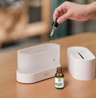 Diffuseur d'huiles essentielles Fire Flame, diffuseur de parfum pour la maison, humidificateur d'air portable pour la maison, le bureau et l'hôtel