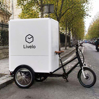 Vélo cargo à 3 roues avec boîte arrière, cadre de trike électrique, Bakfiets avec boîte arrière, Velomobile