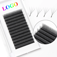 Extensions de cils naturels en forme de W 3D-6D en gros, fournitures de cils préfabriqués, logo personnalisé, faits à la main pour la personnalisation des cils