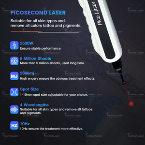 Perfectlaser – Équipement professionnel de suppression des pigments cutanés et des tatouages à l'encre foncée, avec sonde Pico 1064nm, pour l'élimination des poils au laser - Product Image 4