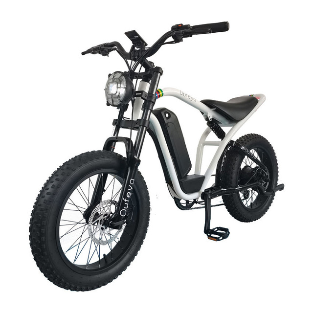 Mountain Electric Bicycle Aluminum Alloy 6061 Lithium Battery Fat Tire Electric Bicycle