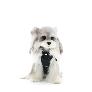 ZHONGYA Haustierzubehör Meistverkaufte Schwarze Lederjacke für Haustiere Passende Hundebekleidung Modische und Wasserdichte Hundejacke - Product Image 5