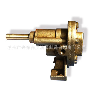 Pompe à engrenages Xingdong en fonte et acier inoxydable 304, surpresseur haute pression pour applications diesel - Product Image 4