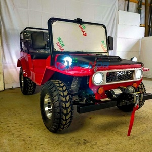 Mini Jeep High End Street Legal Vintage Car Resort jeep Cart - Product Image 5