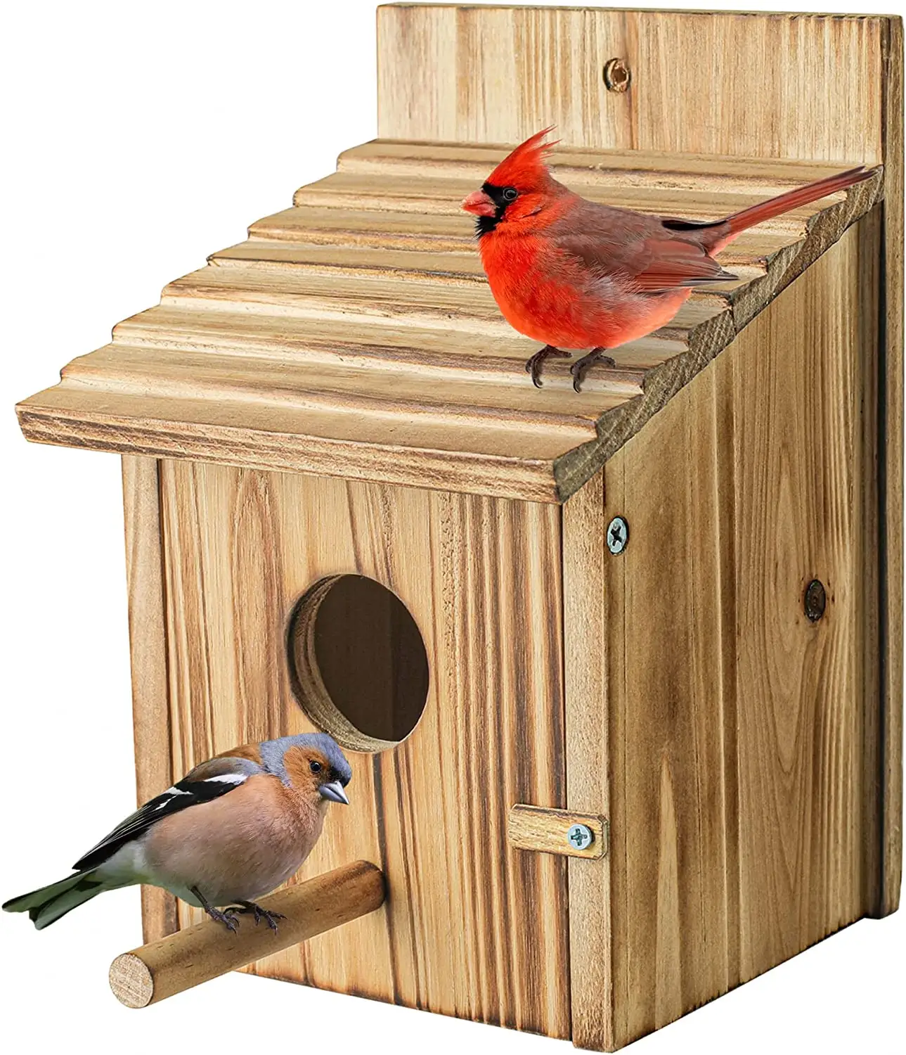 로빈을 위한 교수형 작은 새 둥지 상자 나무 둥지, 벌새, 잉꼬, 파랑새