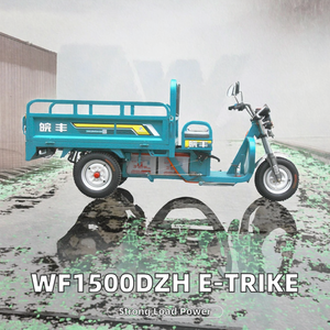 รถสามล้อไฟฟ้าคุณภาพสูง WF1500DZH EEC <span class=keywords><strong>Cargo</strong></span> <span class=keywords><strong>Mini</strong></span> 1.6M โครงสร้างเหล็ก ได้รับการรับรองมาตรฐาน DOT ตัวถังเปิด รับน้ำหนักได้ 400 กก. 1 - Product Image 2