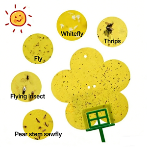 Piège collant jaune pour moucherons et mouches des fruits, en forme de fleur et d'oiseaux - Product Image 5