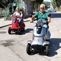 Scooter électrique tout-terrain économique à 4 roues, homologué EEC COC 25 km/h, entrepôt UE, moteur 1000W, suspension intégrale, charge 200 kg, autonomie 60-80 km