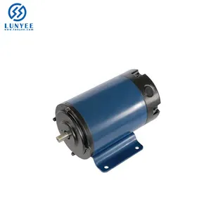 24V 48V 110V 220V Permanent Magnet High Quality Brush DC Motor ZYT 110