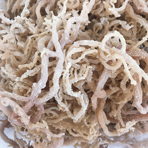 Matière première séchée naturelle de récolte d'océan de mousse de mer du Vietnam pour l'usage culinaire de base de boisson et l'industrie alimentaire - Product Image 1